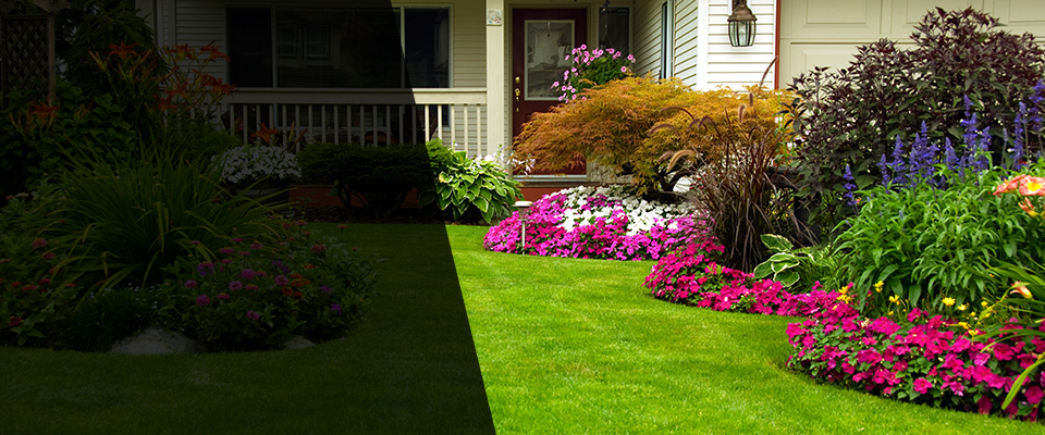 Burbank Landscapers