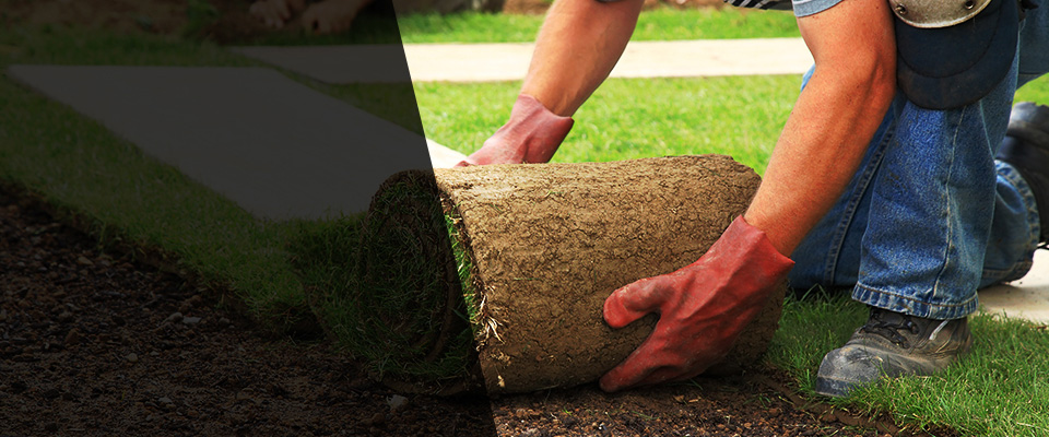 Burbank Landscapers